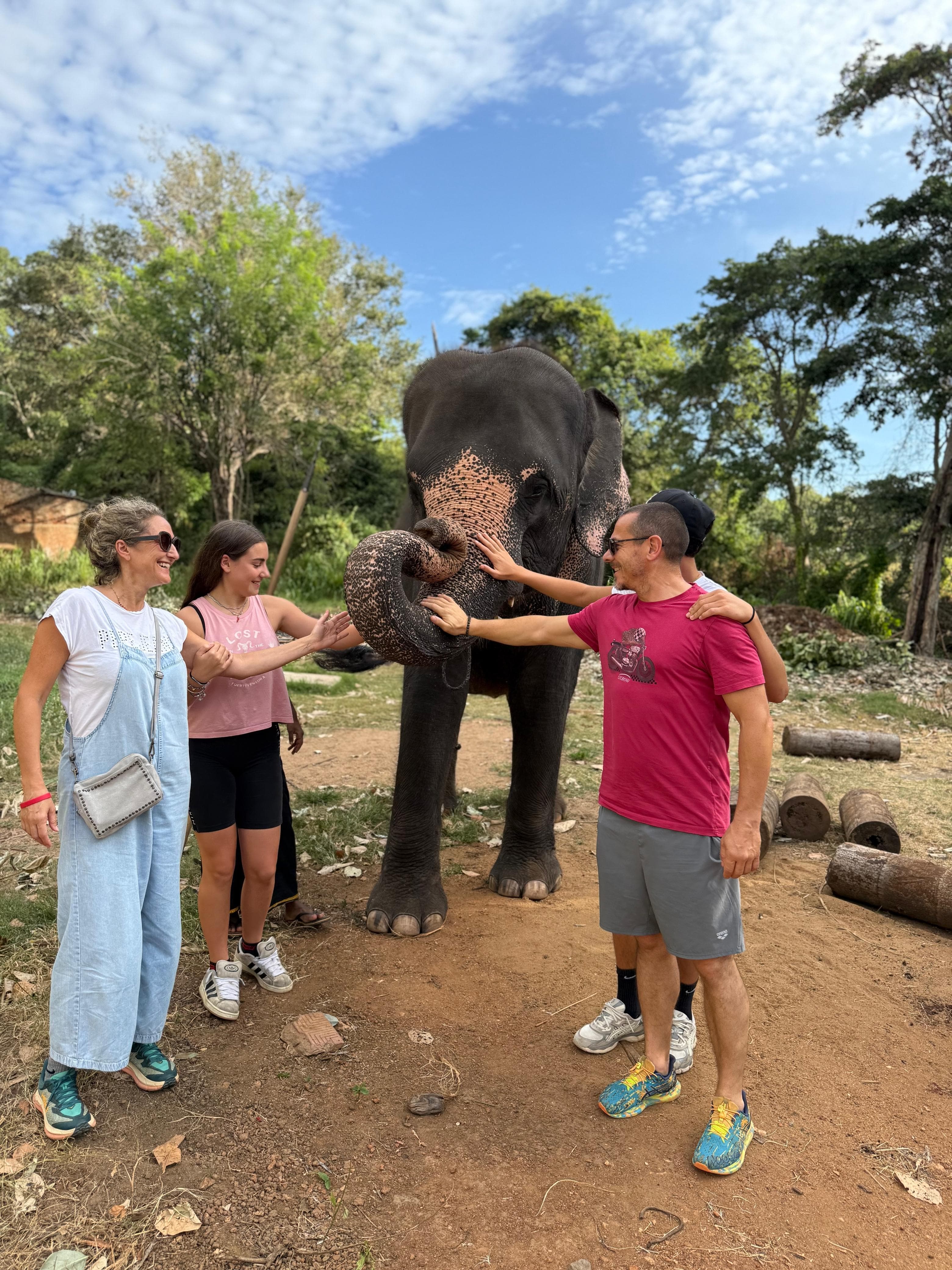 Family petting an elephant's trunk