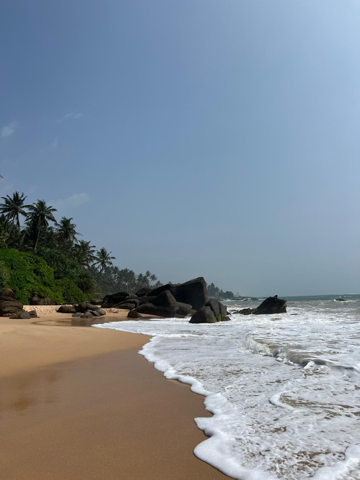Empty beach with rocks and palm trees along the coast