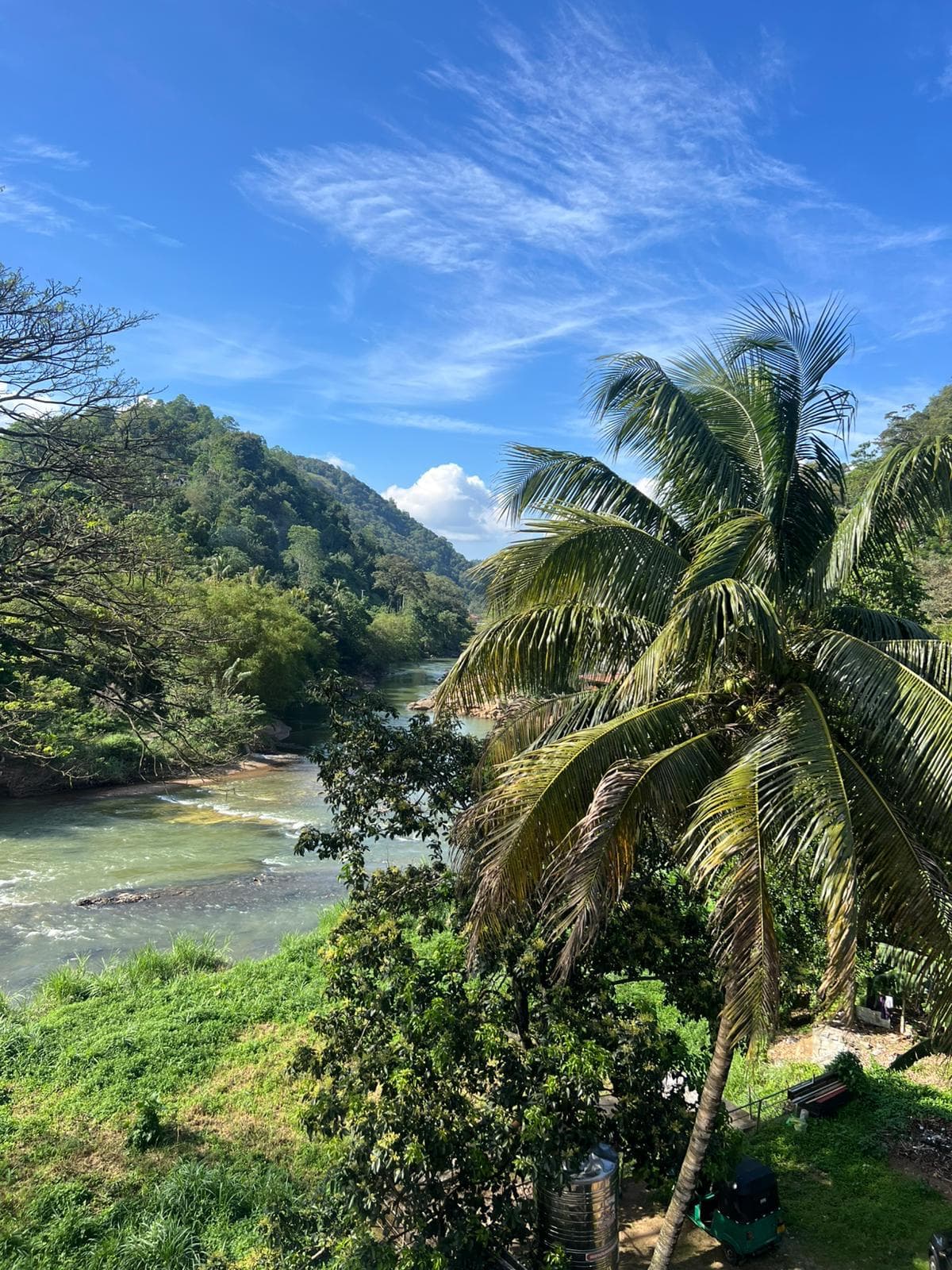 Scenic river winding through green hills with a palm tree