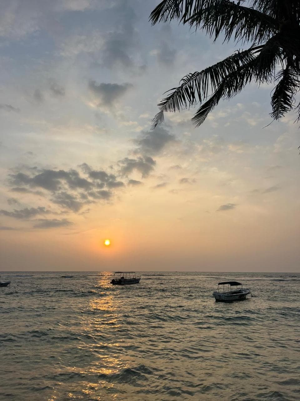 Beach sunset with fishing boats and a palm tree