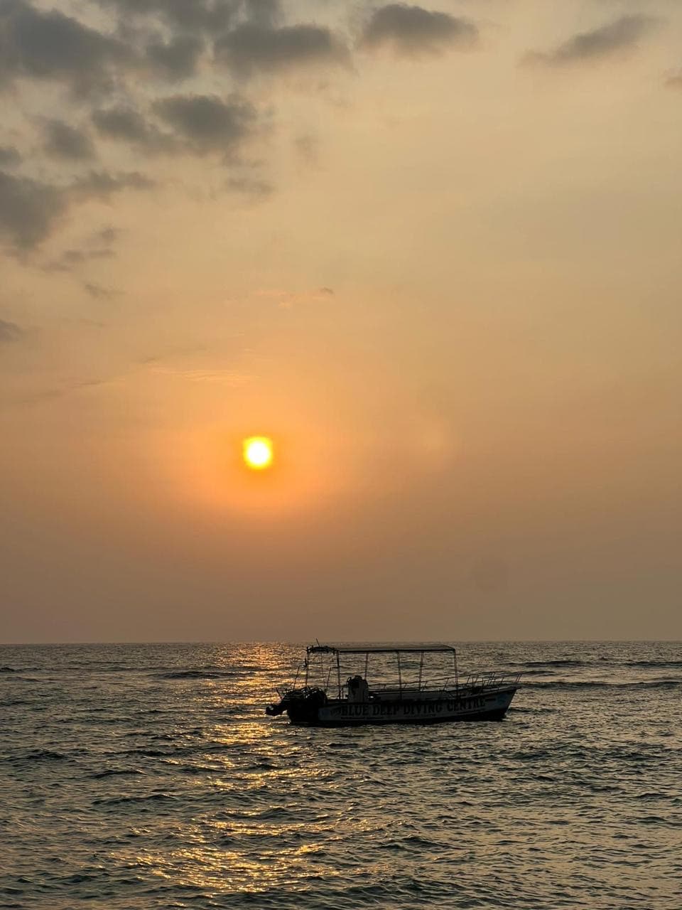 Whale-watching boat silhouetted at sunset