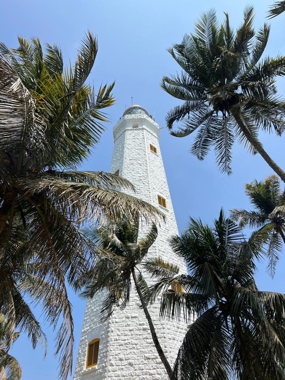 Galle lighthouse framed by palm trees