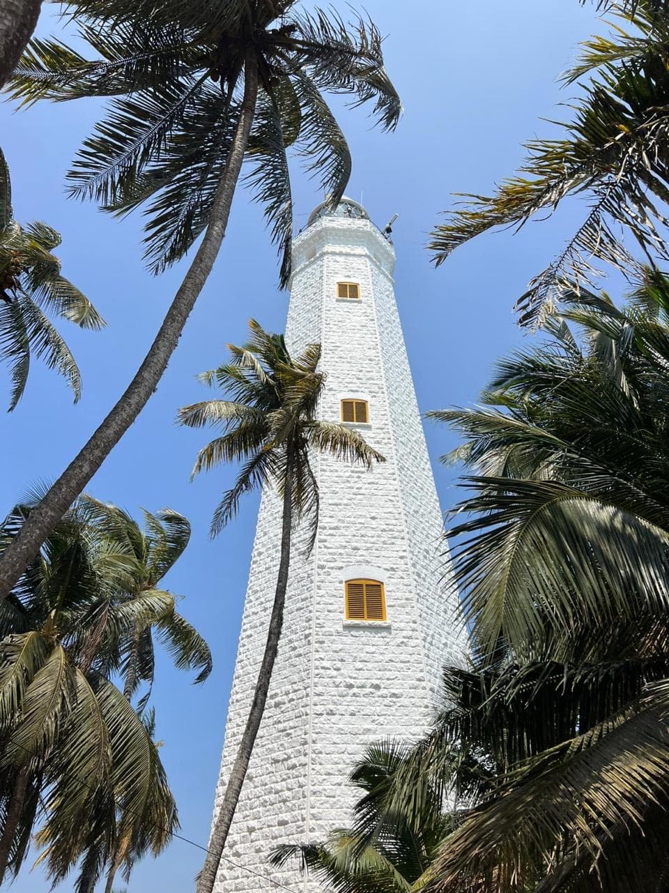 Galle lighthouse framed by palm trees