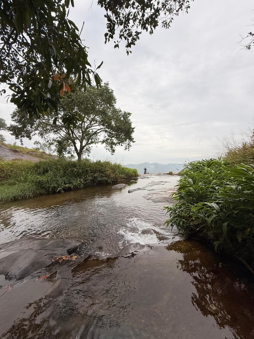 Hill country stream near a cliff edge view