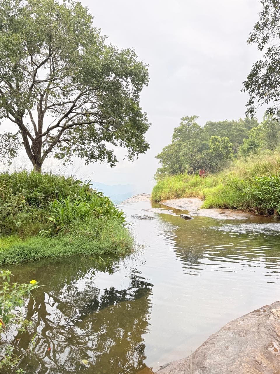 Hill country stream with tree reflections