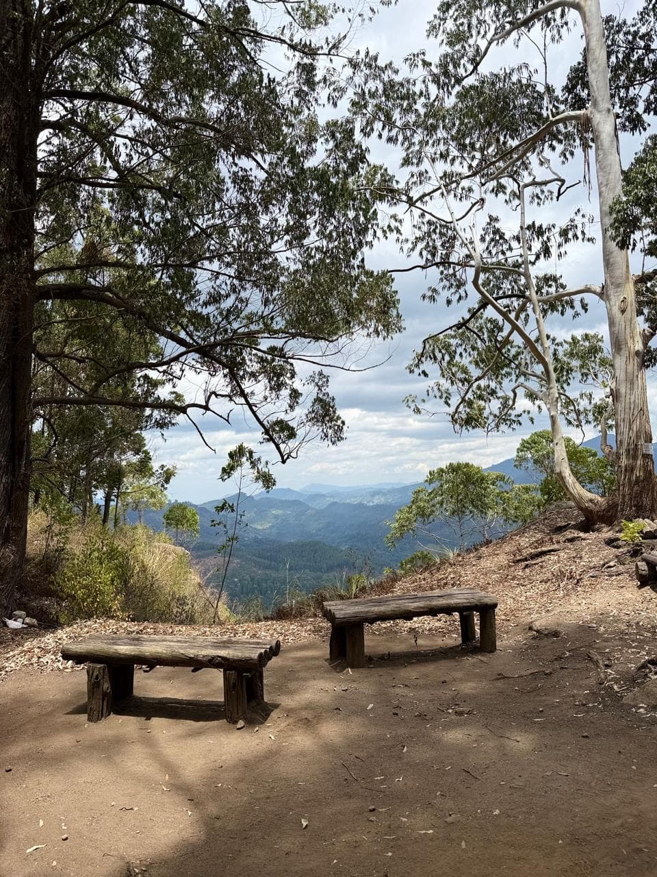Wooden benches at a hill country viewpoint