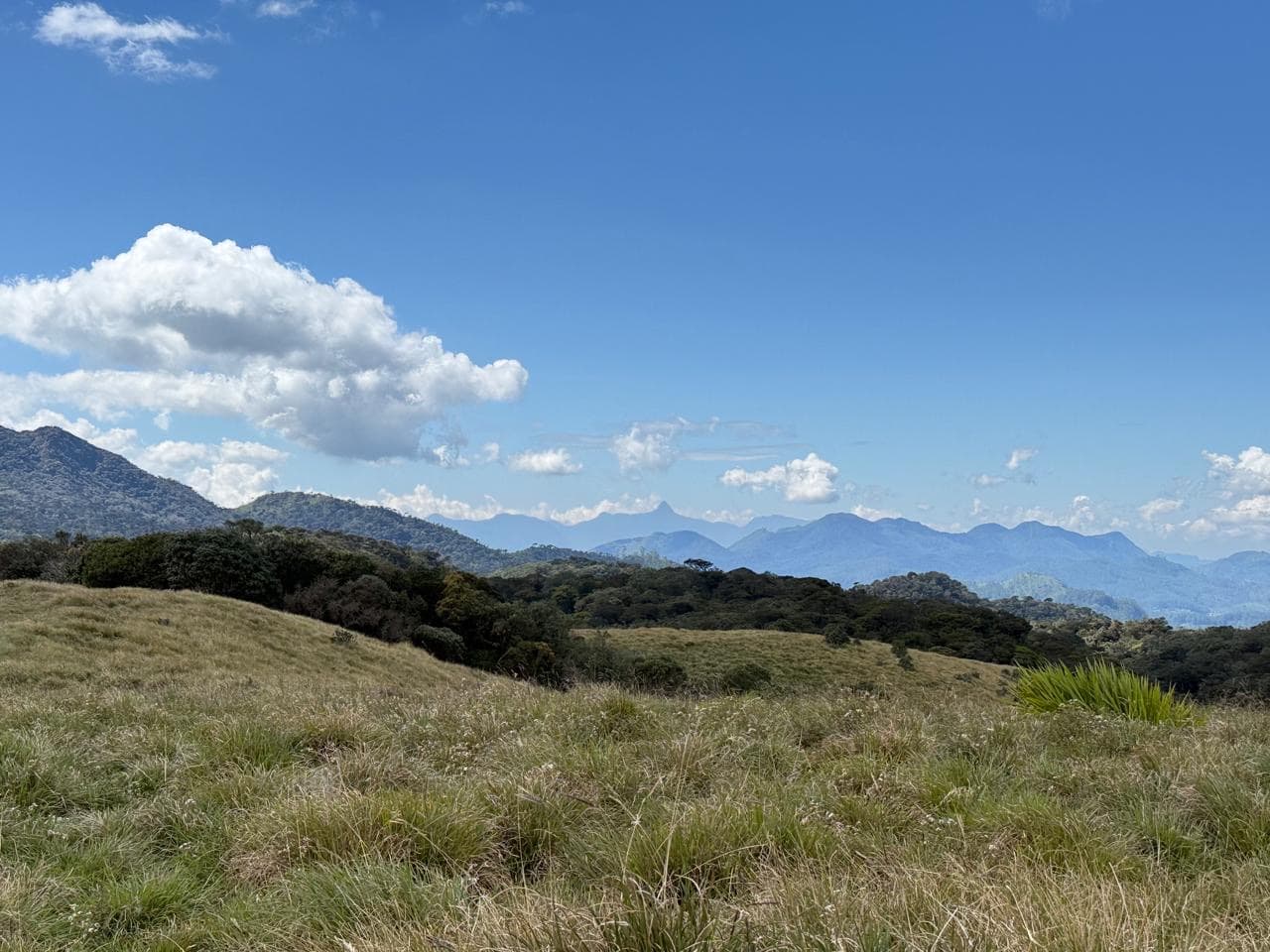 Horton Plains grassland with mountain views