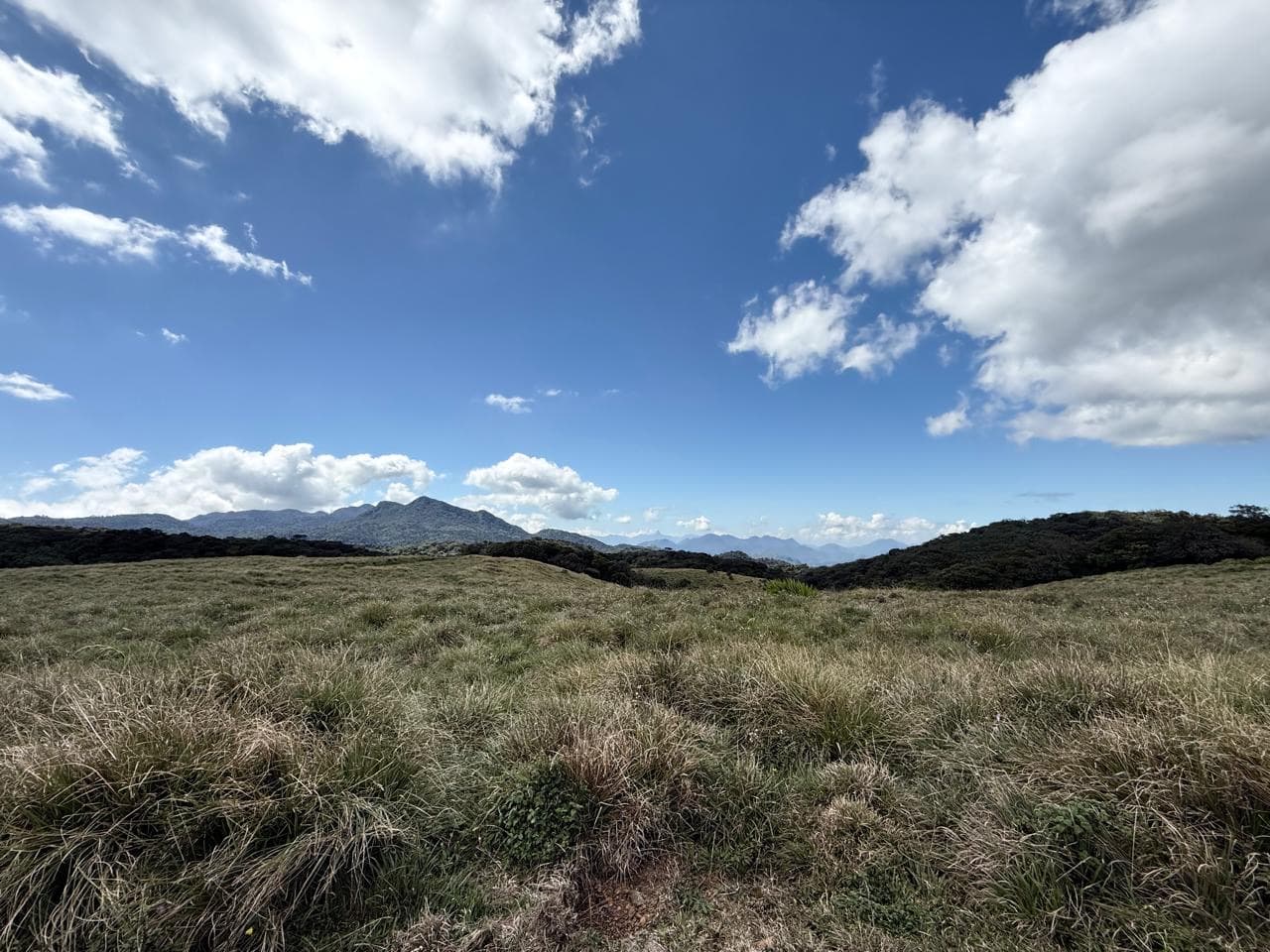 Horton Plains grassland with mountain views
