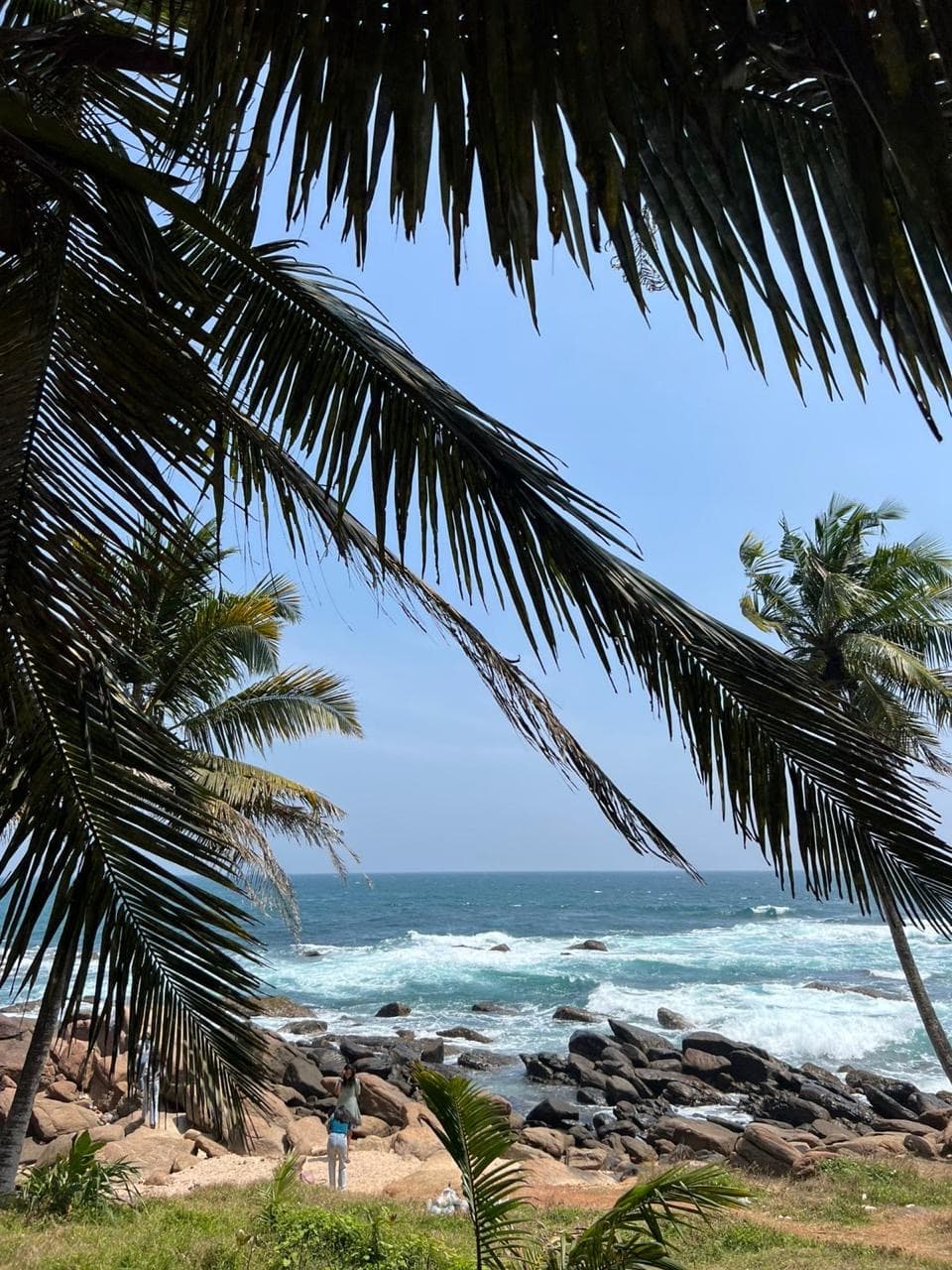 Palm-fringed rocky coastline view