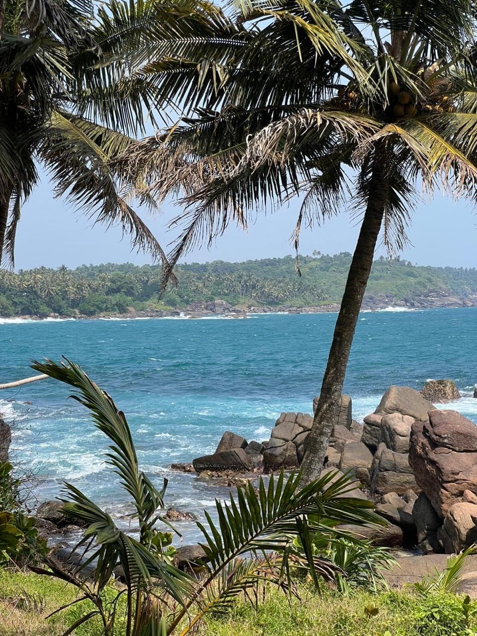 Palm-fringed turquoise bay coastline