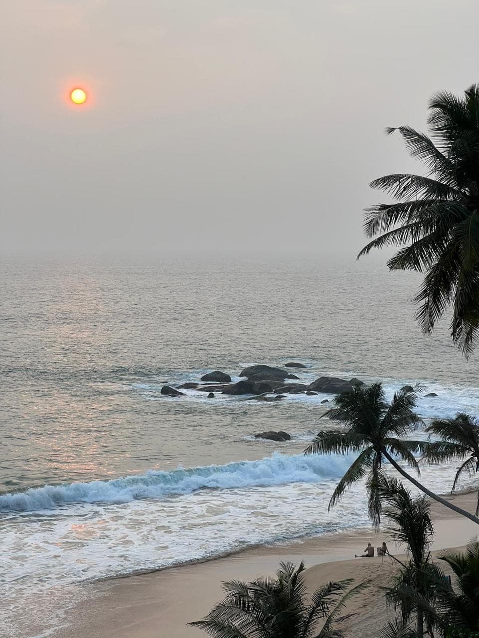 Palm trees on the beach among rocks at sunset