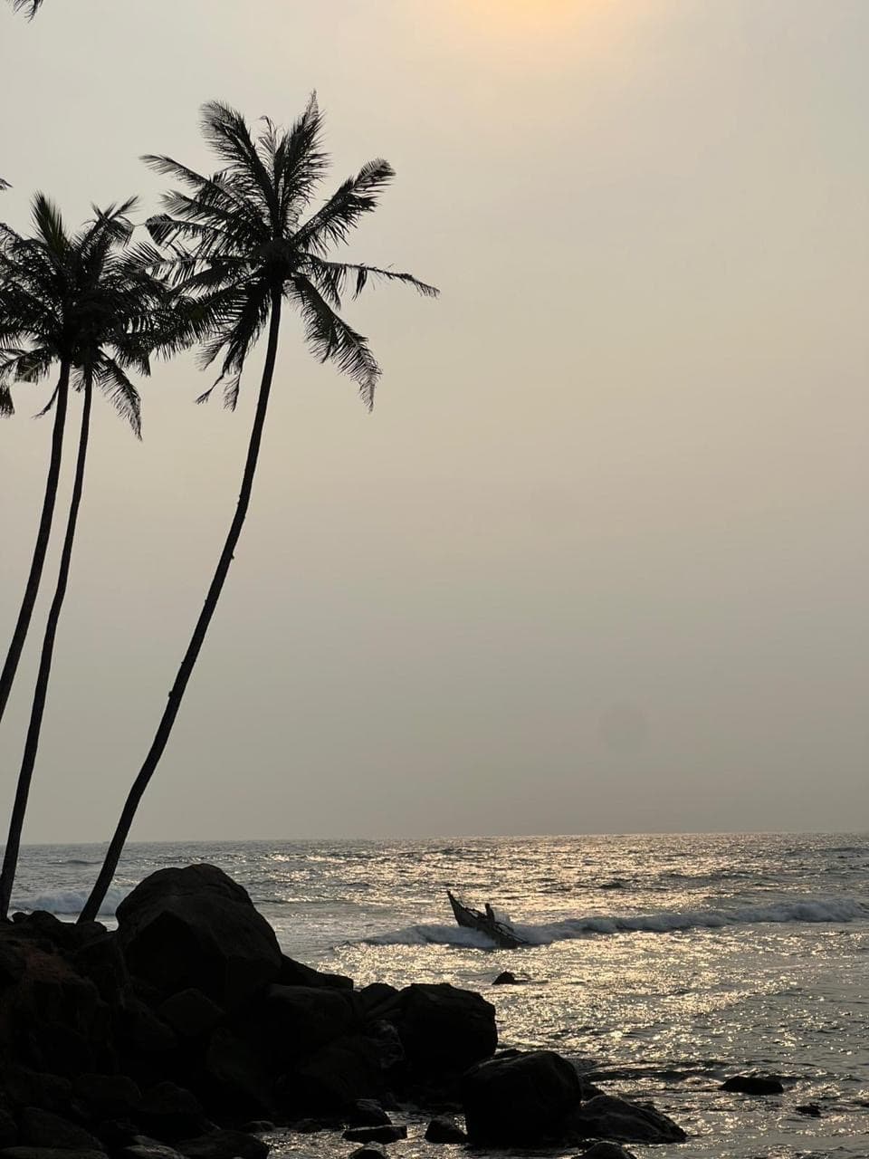 Palm trees and shipwreck silhouetted at sunset