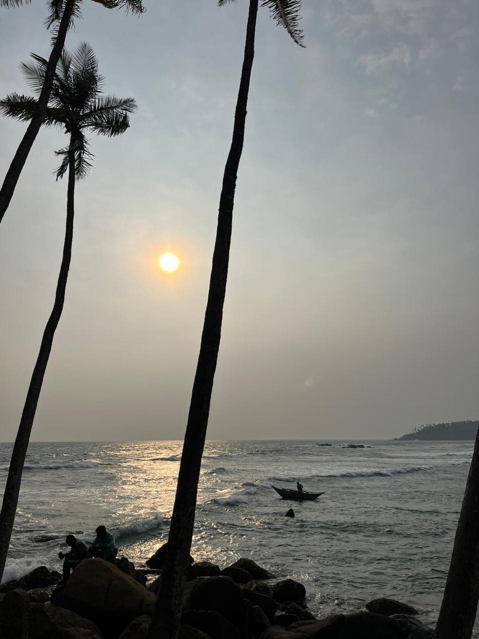 Palm trees and a fishing boat at sunset