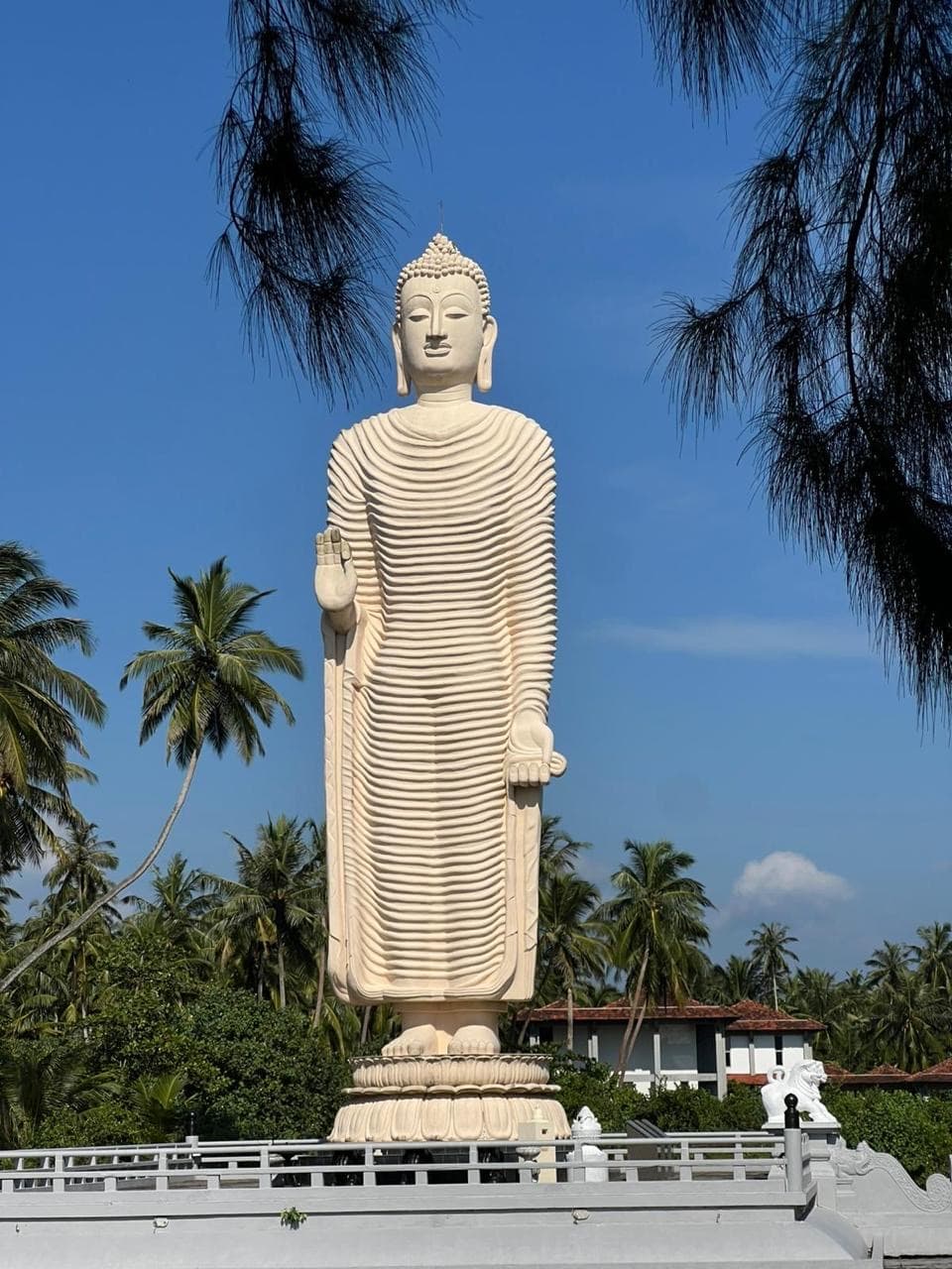 Standing Buddha statue framed by palm trees