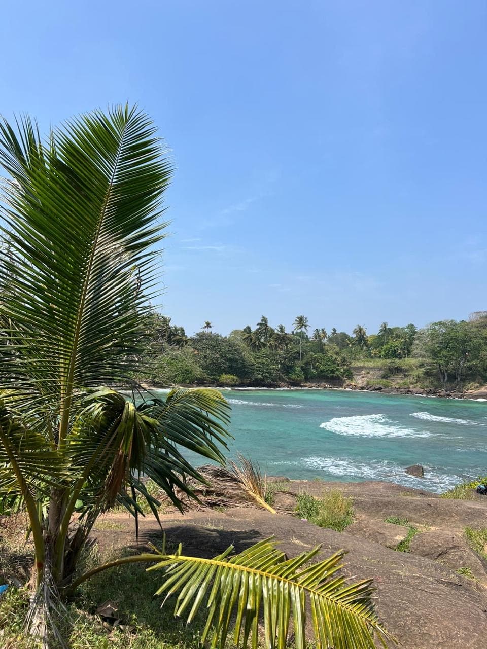 Turquoise bay viewed through palm trees
