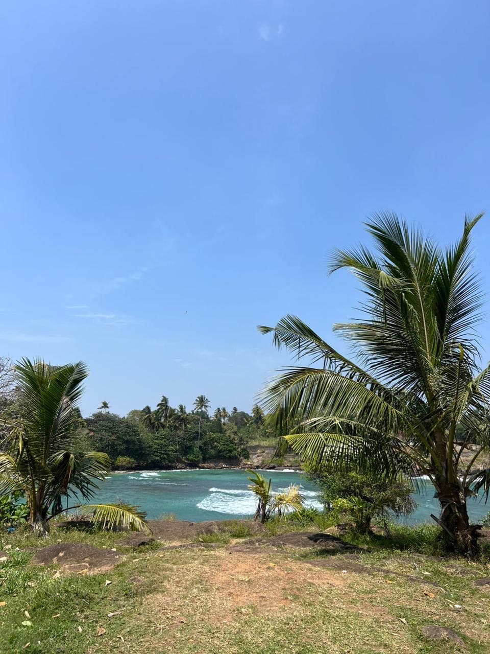 Turquoise lagoon framed by palm trees
