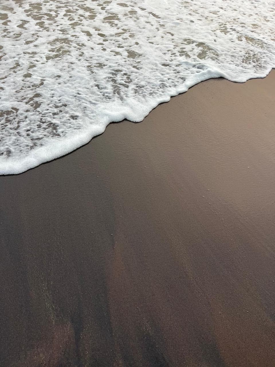 Close-up of wet sand and wave foam